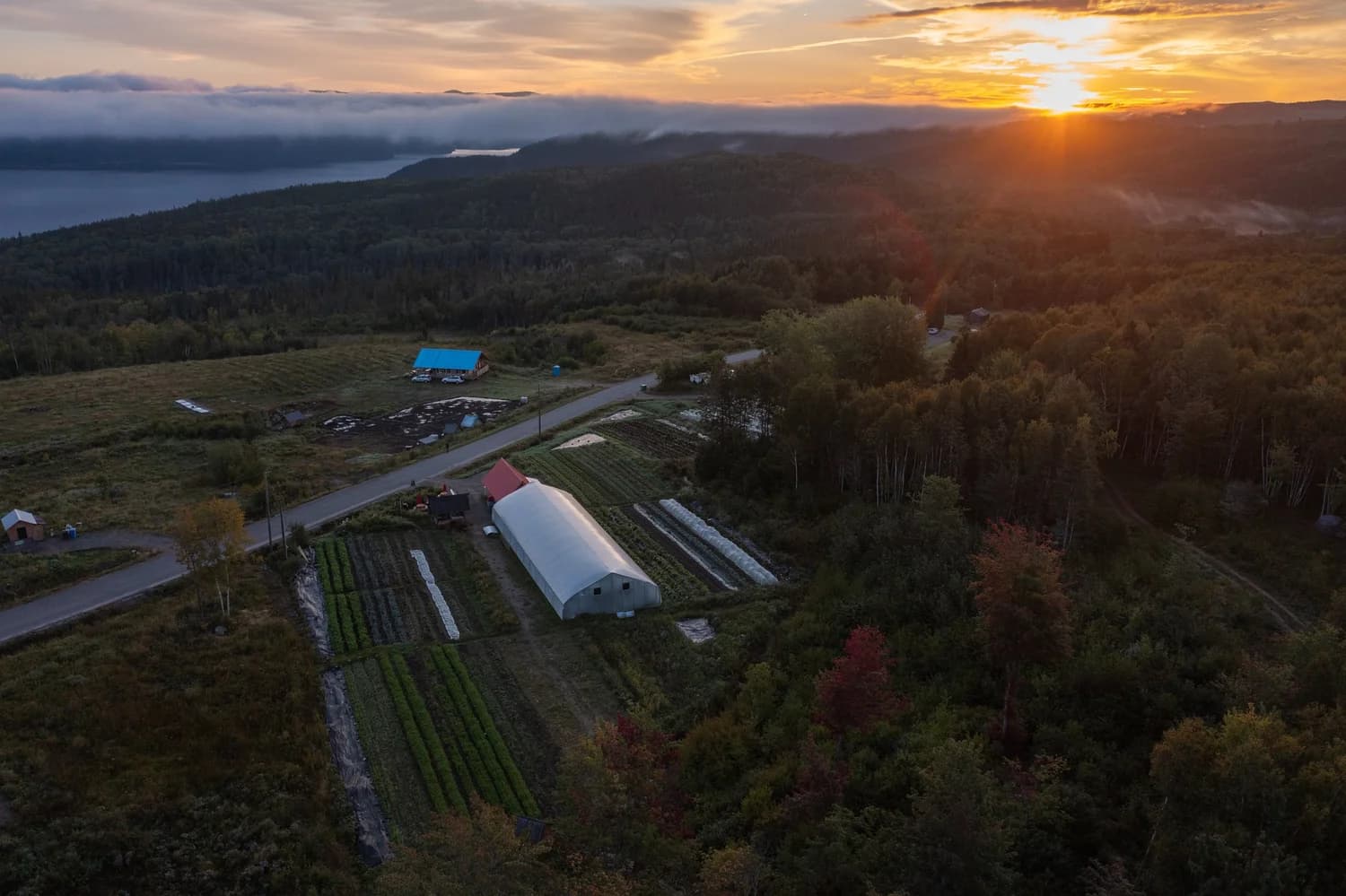 Vue aérienne d'une ferme maraîchère au coucher du soleil