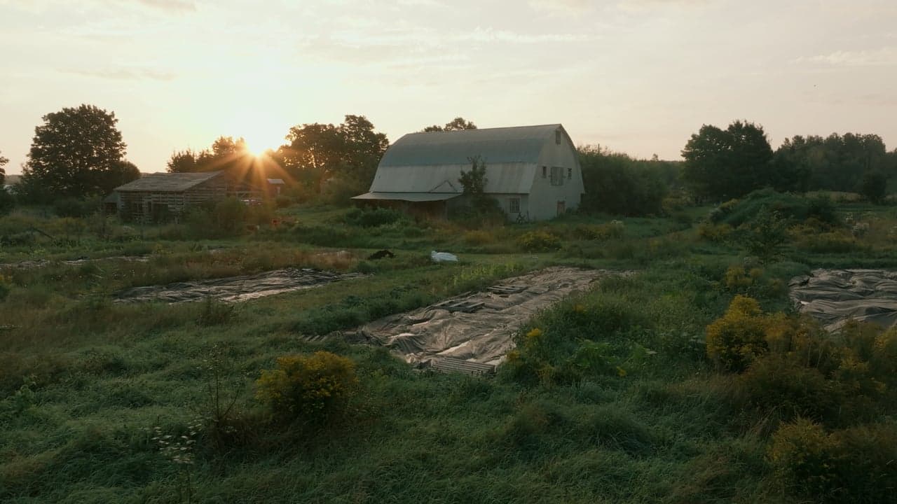 Maraîcher travaillant dans un champ
