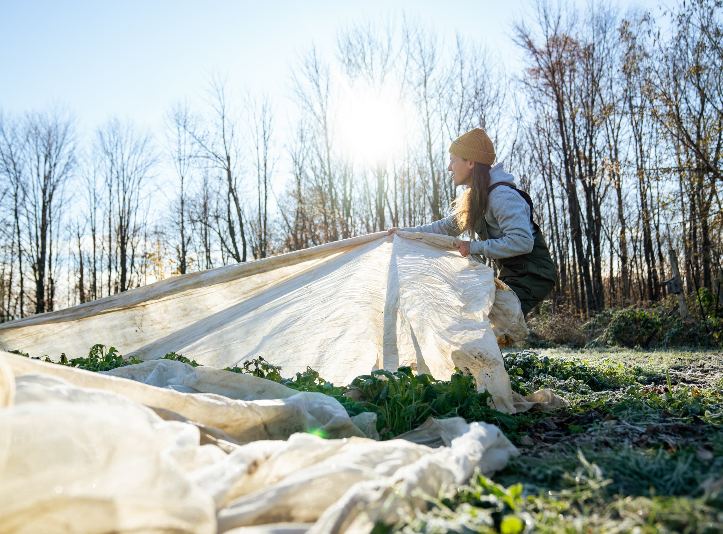 Fermière recouvrant les cultures au lever du soleil